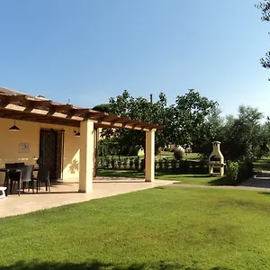 Dallolivo Bolgheri